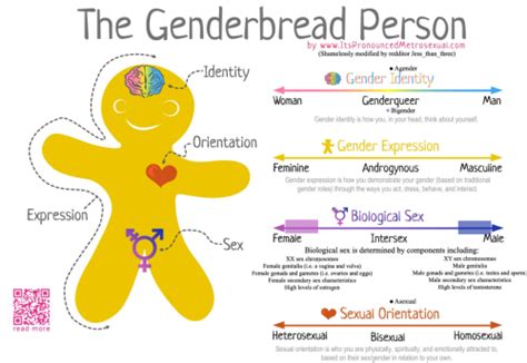 An overview of sex, gender, and sexual orientation. Pan and Proud, lilliancerulean: Most of you have seen the...