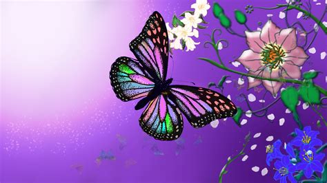 Download Purple Butterfly Wallpaper By Amyf68 Purple Butterfly
