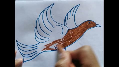 Menggambar Dan Mewarnai Burung Merpati Youtube