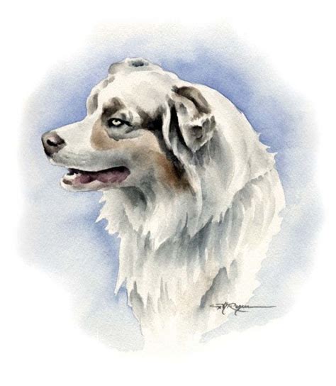 Australian Shepherd Dog Art Print By Artist Dj Rogers Etsy Dog