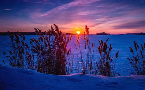 Winter Nature Sunset Grass Snow Hd Wallpaper Pxfuel