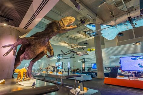 Get Ready To Roar The Phillip And Patricia Frost Museum Of Science To