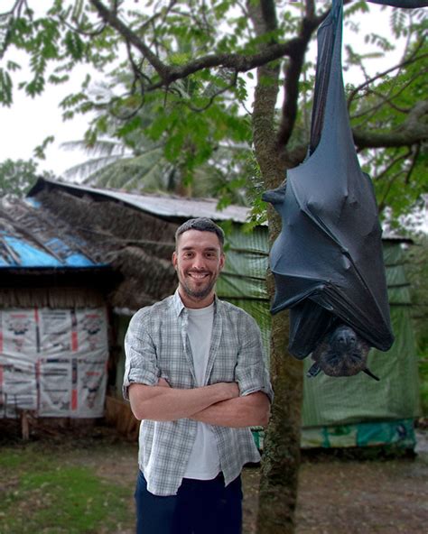 Flying Fox Human Sized Bat Deals Discounted Save 43 Jlcatjgobmx