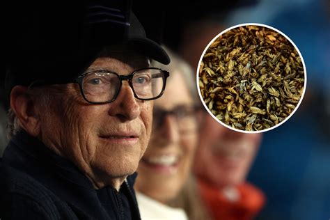 Fact Check: Has Bill Gates Advised Eating Crickets to 'Stay Healthy