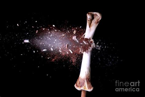 Bullet Hitting A Chicken Bone Photograph By Ted Kinsman Fine Art America