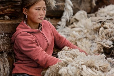 The mongolian people's republic (mongolian: Mongolians' Life