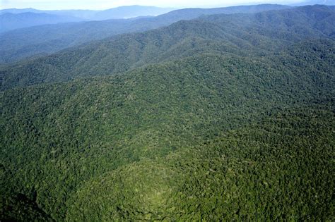Leuser National Park - 2018 Asia-Pacific Rainforest Summit Photo