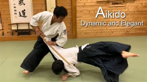 Insights from the founding family of aikido. Dynamic and Elegant Aikido - Shirakawa Ryuji shihan - YouTube