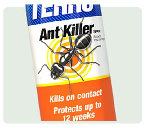 Do it yourself ant spray. Amazon.com : TERRO T401 Ant Killer Aerosol Spray : Home Pest Control Sprayers : Patio, Lawn & Garden