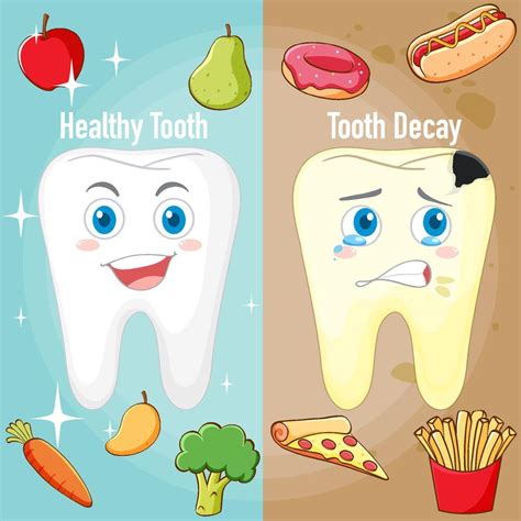 Infographic Of Healthy Tooth And Tooth Decay 6435047 Vector Art At Vecteezy