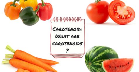 Carotenoids What Are Carotenoids Carotene