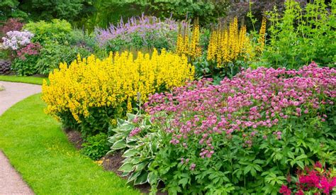 5 Tips For Planting Spring Flowers Lawn Pride