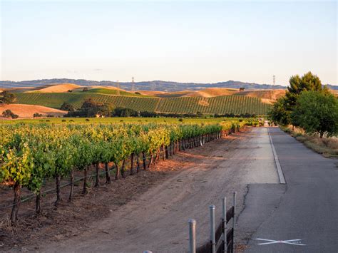 Your Ultimate Guide to the Best Wine Tasting in Livermore Valley - The ...