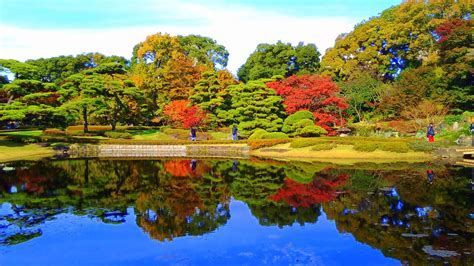 Imperial Palace Gardens In Autumn Tokyo Japan • Saitama With Kids