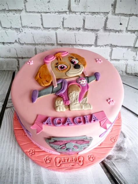 Skye Paw Patrol Cake For Girl Rekadoodle