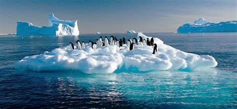 Antarctic Sea Ice