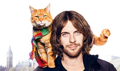 A Street Cat Named Bob Le Cinema Paradiso Blu Ray Reviews And Dvd Reviews