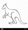 Kangaroo black white isolated illustration vector Stock Vector Image ...