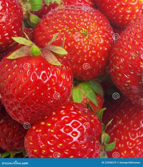 Strawberry Closeup Stock Image Image Of Seeds Dessert 22938279