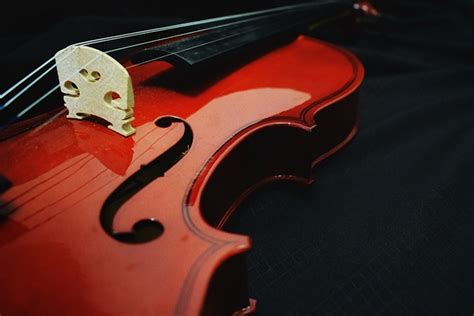 Violin Music Design Free Photo On Pixabay