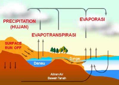Evapotranspirasi adalah gabungan evaporasi dan transpirasi tumbuhan yang hidup di permukaan bumi. Pengertian dan Faktor Evaporasi | Galeri Pustaka