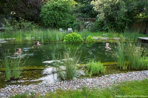 The fish pond is a type of farm building purchasable from robin at the carpenter's shop.it takes two days to build and occupies a 5x5 tile space. Swimming Pond - Jane Brockbank