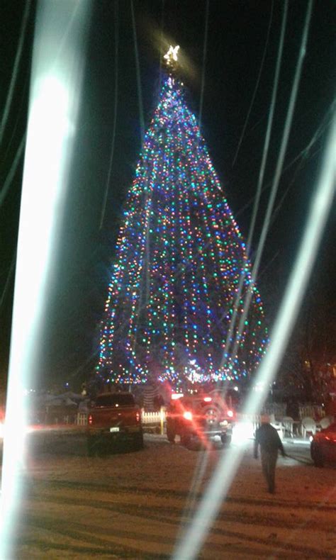 Idyllwild Christmas Tree Lighting Eventidy Park Idyllwild