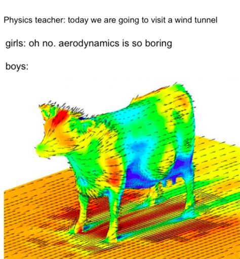 Aerodynamics Of A Cow Dankmemes