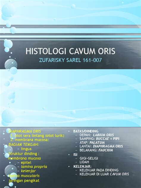 Histologi Cavum Oris