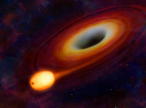 In Celestial Twist Black Hole Swallows A Dying Star The New York Times