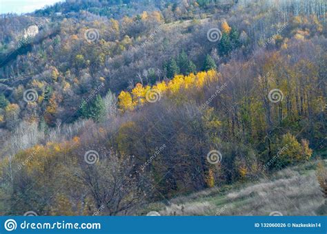 Beautiful Forest Landscape With Vibrant Autumn Fall Season Color Stock Photo Image Of Fall