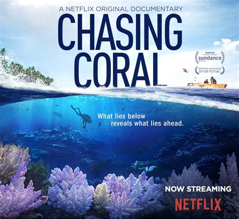 Chasing Coral A Netflix Documentary Envt 200 01
