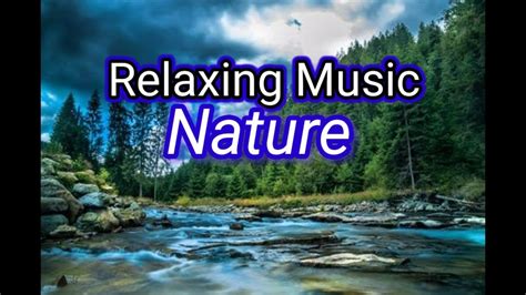 Relaxing Music Video Nature Youtube