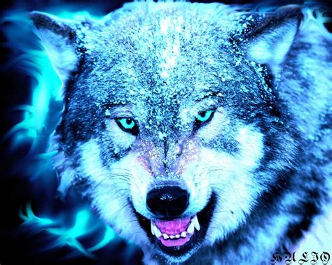 Red And Blue Wolf Wallpapers Top Free Red And Blue Wolf Backgrounds