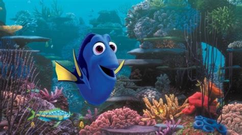 Finding Nemo Fans Have Discovered A Clue That Explains The Lucky Fin