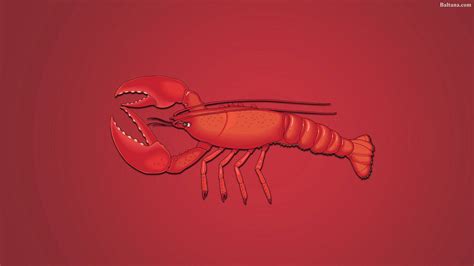 Top 64 Lobster Wallpaper Super Hot Incdgdbentre