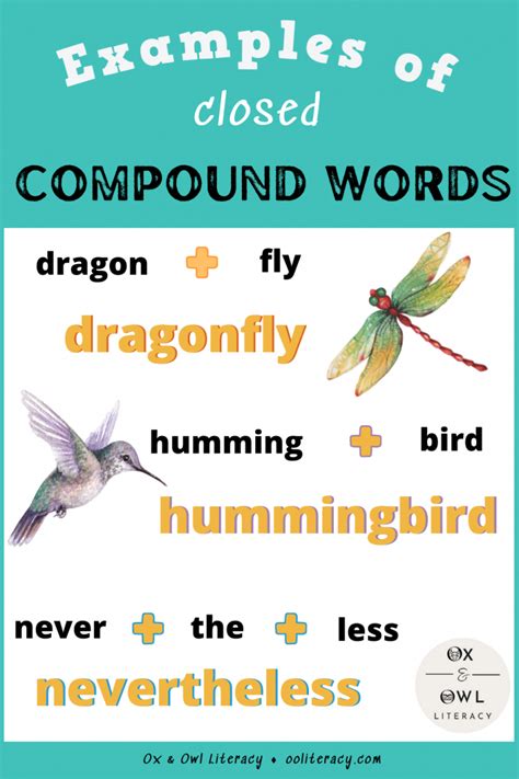 7 Compound Word Activities For Early Learners Ox And Owl Literacy