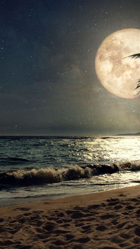 Beach Sand Nights Moon Palm Tree Nature 720x1280 Wallpaper Night