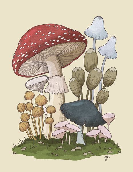 Mushroom Collection 1 Art Print Mushrooms Dibujos Botánicos Hongos