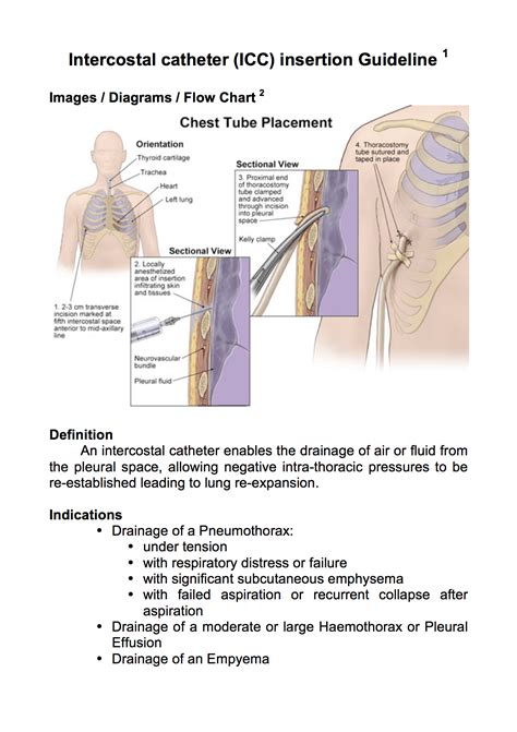 1 gather the necessary supplies, and perform hand hygiene. Pin by Kasey on Medical - Lungs | Chest tube, Flow chart ...