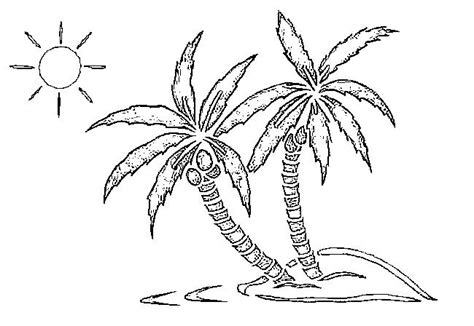 Coloriage Plage Palmiers Palmiers 5 Cartoon Palm Tree Palm Tree