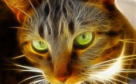 Neon Cat Wallpapers High Quality Download Free