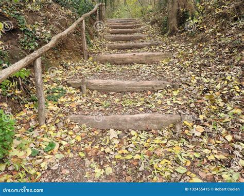 Naturel Stairs In Forest During Autumn Stock Image Image Of Heaven