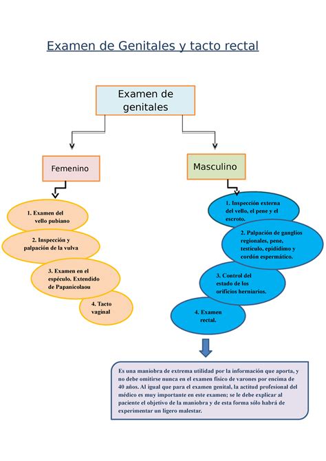 Mapa Conceptual De El Examen Porn Sex Picture