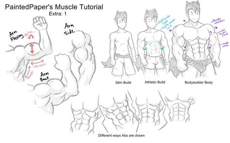 Big Muscles Tutorial Extra By Paintedpaper Pixel Art Tutorial