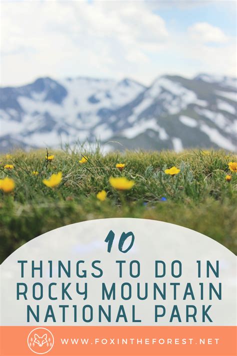 The Locals Guide To The Best Things To Do In Rocky Mountain National