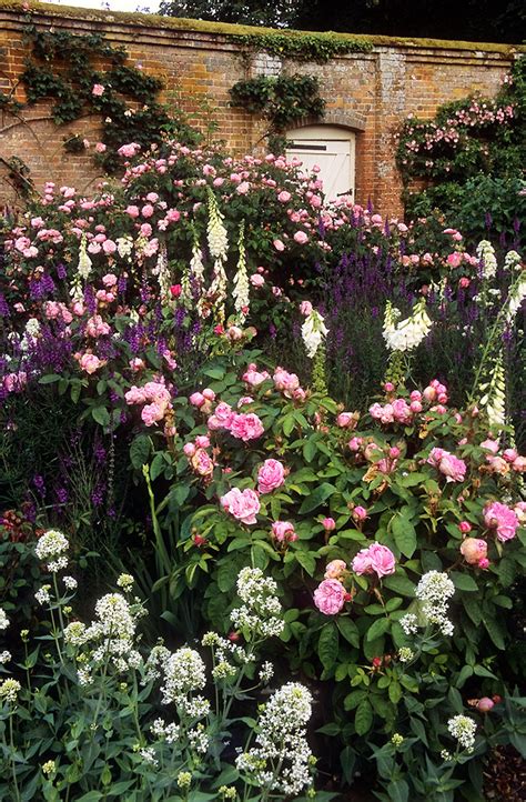 Mottisfont Abbey Rose Gardens Hampshire England A Spec Flickr