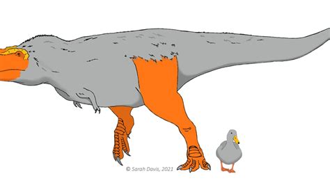 Dinosaurs May Have Rocked Brightly Colored Feet And Faces Scientists