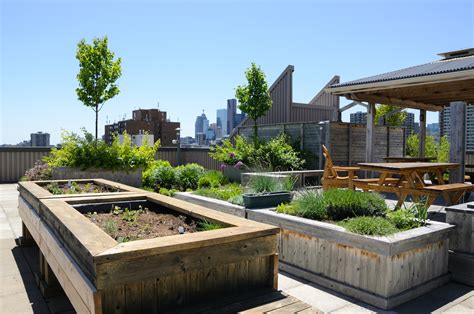 How To Build A Roof Garden Encycloall