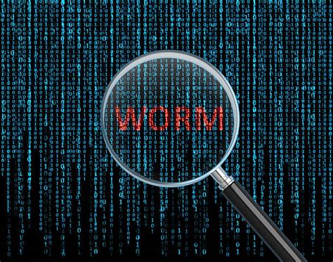 Computer Worms Stock Photos Pictures And Royalty Free Images Istock